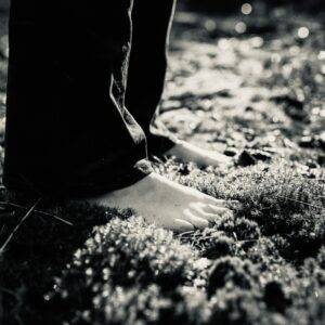 Rooted Wisdom per maand