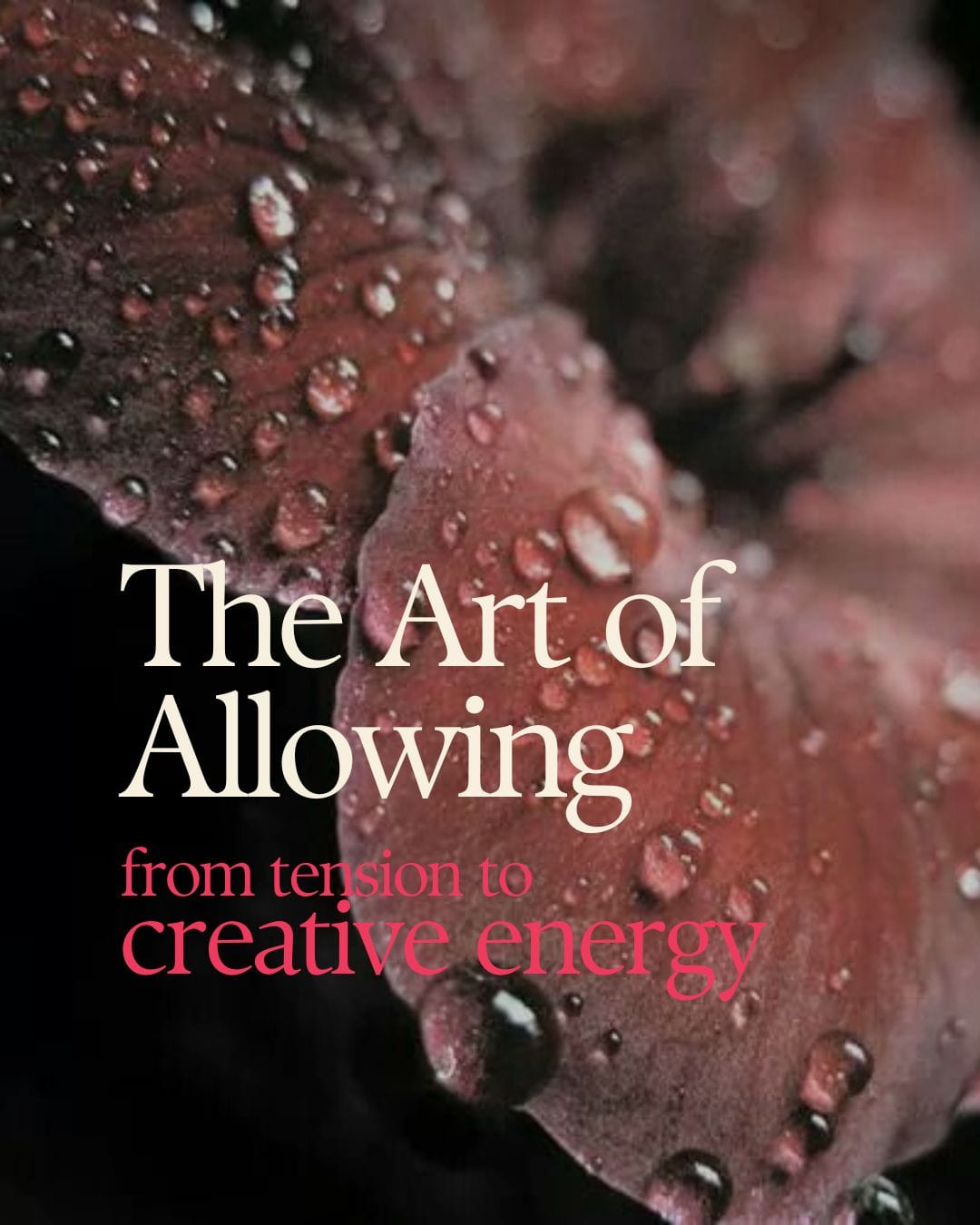 The Art of Allowing incl. whatsapp coaching