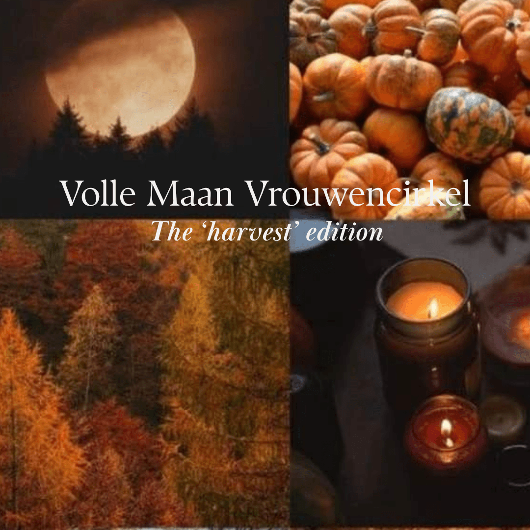 Full moon harvest-edition